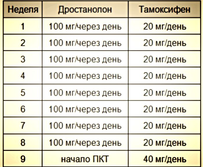 тамоксифен в борьбе с побочными явлениями стероидов