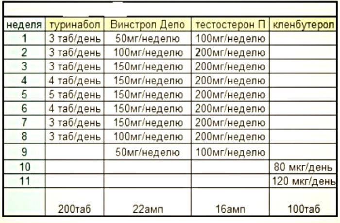с чего начать свой первый курс стероидов?